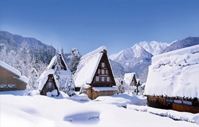 ทัวร์ญี่ปุ่น WONDERFUL SNOW MONKE IN NAGANO