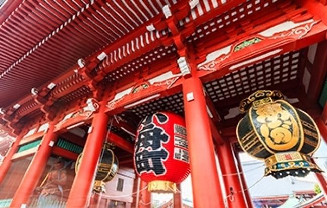 ทัวร์ญี่ปุ่น TOKYO FUJI ซุปตาร์ ทุ่งลาเวนเดอร์