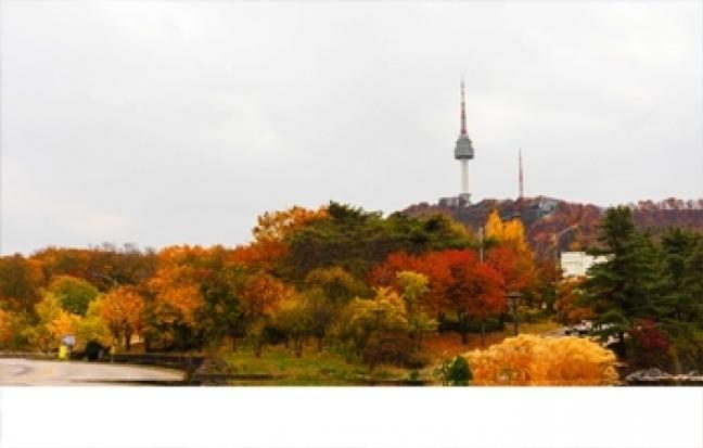 ทัวร์เกาหลี KOREA YONGPYONG AUTUMN