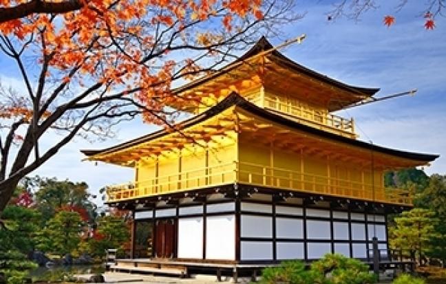 ทัวร์ญี่ปุ่น OSAKA KYOTO TAKAYAMA ซุปตาร์ เซเลบริตี้