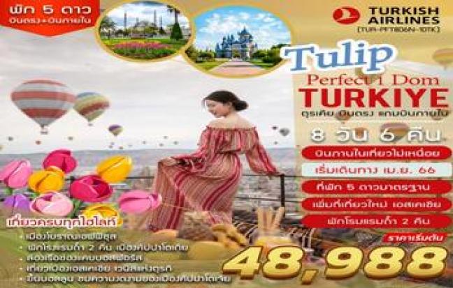 TURKEY PERFECT TULIP  