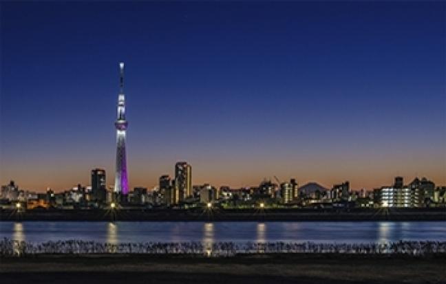 ทัวร์ญี่ปุ่น PRO TOKYO BLOSSOM SAKURA