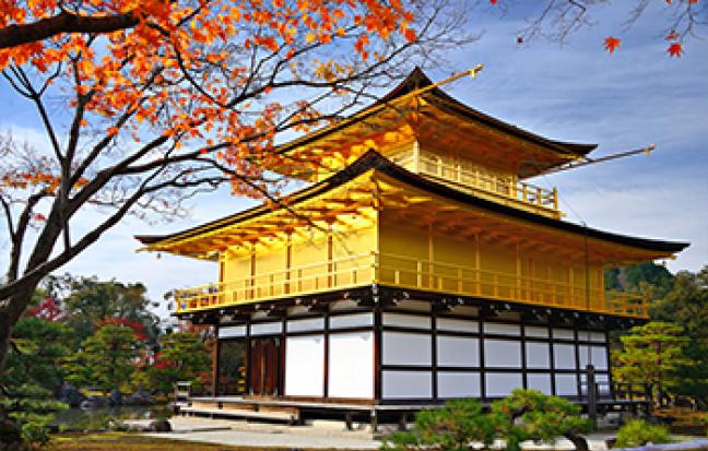 ทัวร์ญี่ปุ่น OSAKA KYOTO TOTTORI ซุปตาร์ ซากุระสีชมพู