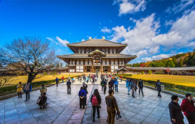 ทัวร์ญี่ปุ่น Osaka Nara Kyoto Kobe Sakano Train