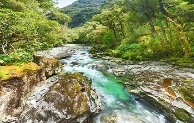 ทัวร์นิวซีเเลนด์ Promotion!! NEW ZEALAND