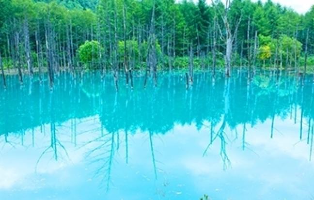 ทัวร์ญี่ปุ่น สุดฟิน ใบไม้เปลี่ยนสีที่ฮอกไกโด