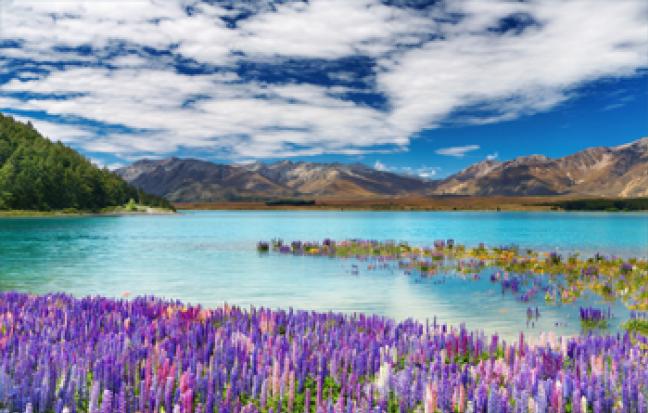 ทัวร์นิวซีเเลนด์ นิวซีแลนด์ เกาะเหนือ