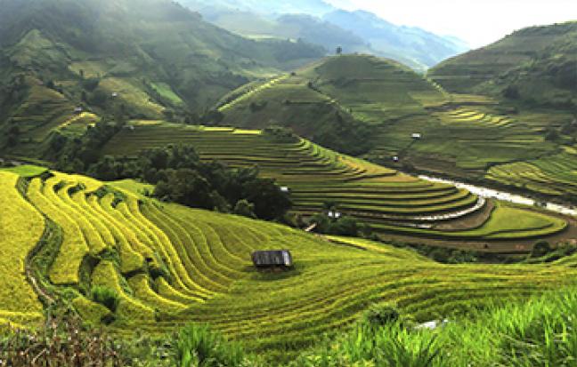 ทัวร์เวียดนาม ฮานอย ซาปา ฟานซิปัน