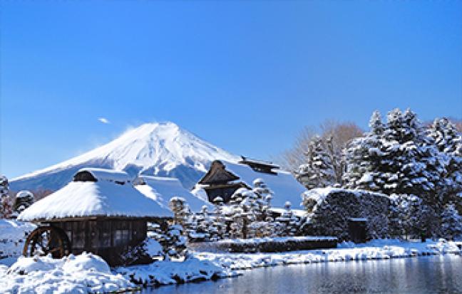 ทัวร์ญี่ปุ่น TOKYO FUJI FUKUSHIMA