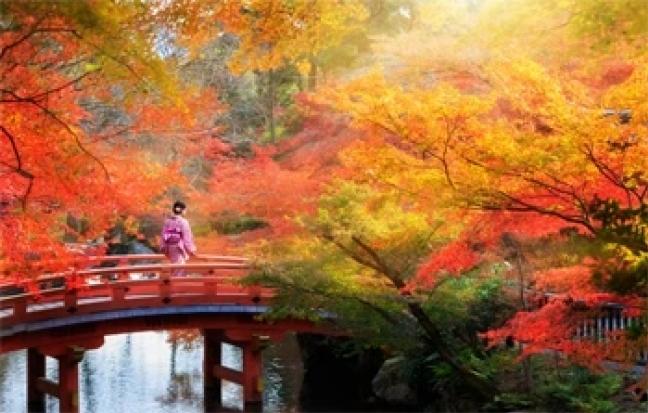 ทัวร์ญี่ปุ่น HOKKAIDO NOBORETBETSU JOZANKEI SAPPORO