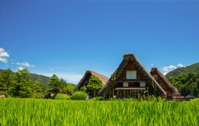 ทัวร์ญี่ปุ่น NAGOYA SHIRAKAWAGO Japan Alps
