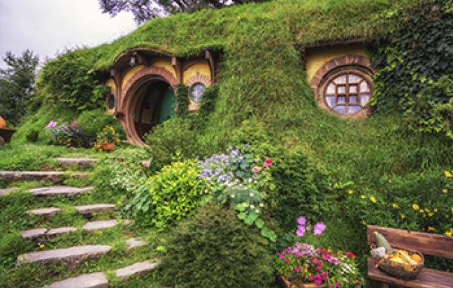 ทัวร์นิวซีเเลนด์ NORTH-NEW-ZEALAND
