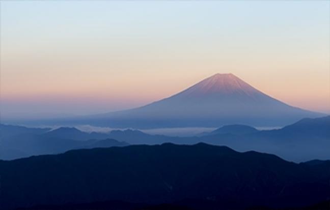 ทัวร์ญี่ปุ่น PRO TOKYO SAKURA PINK PINK