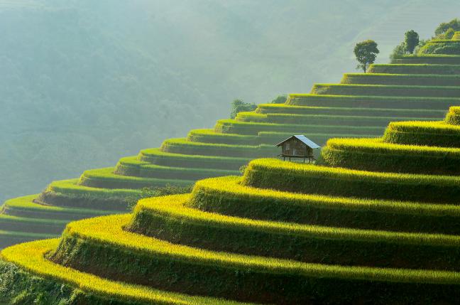 ทัวร์เวียดนาม / GRAND AMAZING VIETNAM