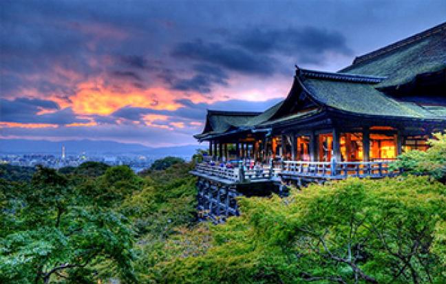 ทัวร์ญี่ปุ่น โอซาก้า เกียวโต โตเกียว Cherry Blossom