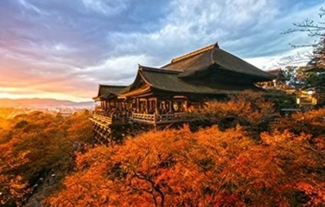ทัวร์ญี่ปุ่น OSAKA TOTTORI KYOTO PREMIUM