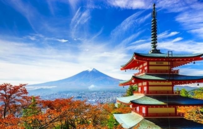 ทัวร์ญี่ปุ่น TOKYO FUJI ซุปตาร์ ลาเวนเดอร์ บานฉ่ำ