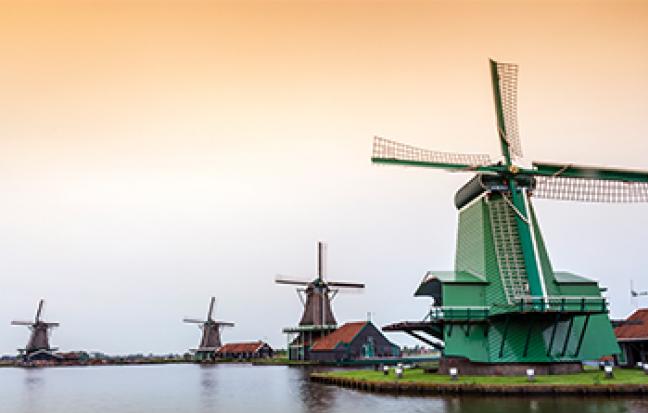 ทัวร์ยุโรป ฝรั่งเศส เบลเยี่ยม เนเธอร์แลนด์ TULIP FESTIVAL 2019