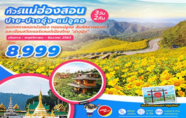 แม่ฮ่องสอน ปาย ปางอุ๋ง แม่อูคอ ทุ่งบัวตอง