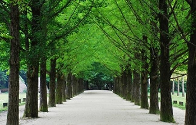 ทัวร์เกาหลี SUMMER SEOUL