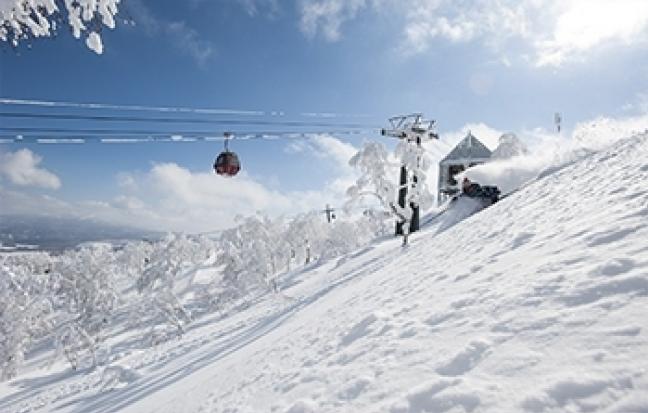 ทัวร์ญี่ปุ่น GO HOKKAIDO SNOW FESTIVAL