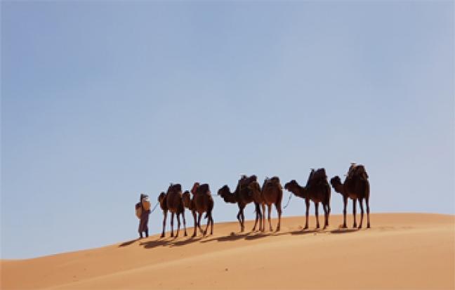 ทัวร์แอฟริกา Colorful of Morocco