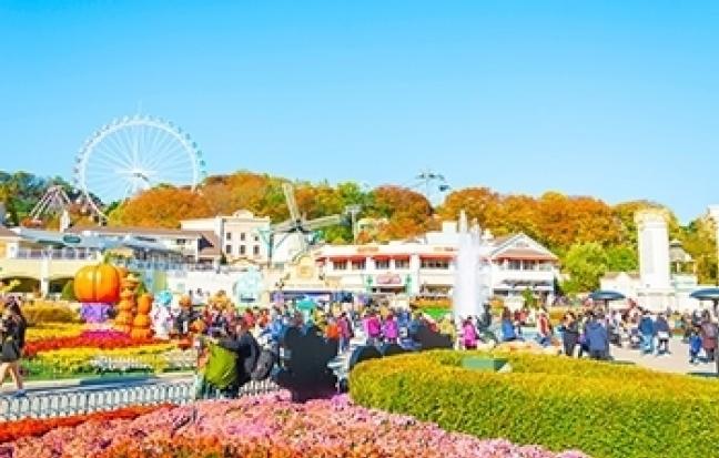 ทัวร์เกาหลี BLOOM BLOOM