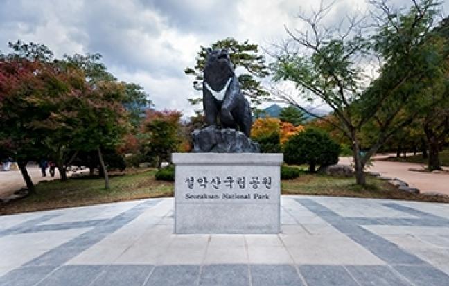 ทัวร์เกาหลี JEJU SPECIAL WINTER