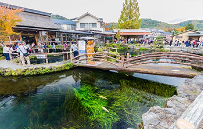 ทัวร์ญี่ปุ่น TOKYO FUJI ซุปตาร์ PINKMOSS โลกอมชมพู
