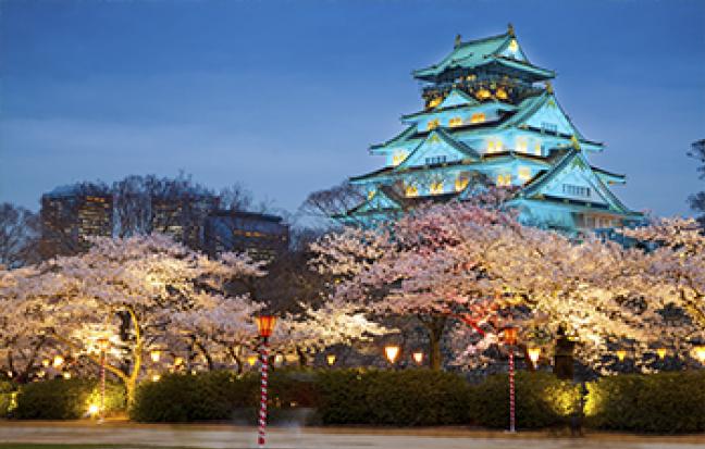 ทัวร์ญี่ปุ่น OSAKA KYOTO TOTTORI ซุปตาร์ ซากุระสีชมพู