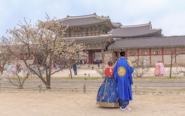 ทัวร์เกาหลี Korea Cherry Blossom เกาหลี-ซูวอน-โซล