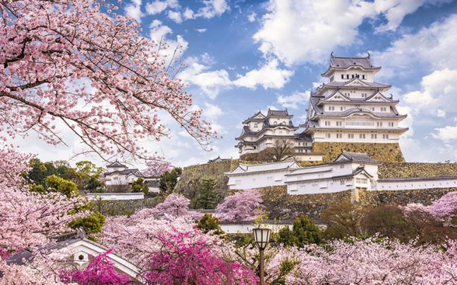 ทัวร์ญี่ปุ่น PRO OSAKA KYOTO PINK WOW