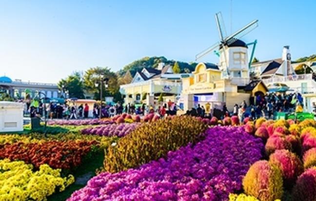ทัวร์เกาหลี โลกนี้ สีชมพู (บินค่ำ-กลับเช้า )
