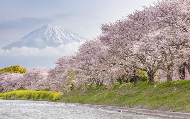 ทัวร์ญี่ปุ่น GOAL JAPAN SARURA PERFECT ROUTE