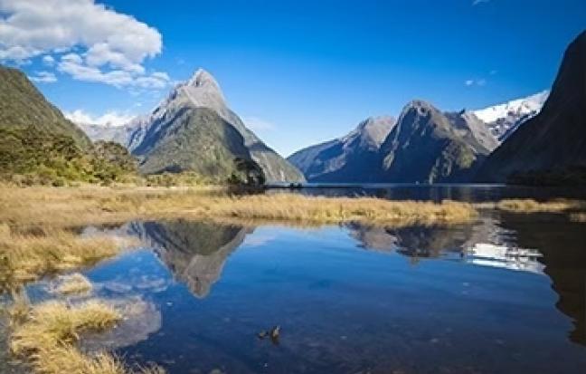 ทัวร์นิวซีเเลนด์ SOUTH ISLAND MFM+KAI