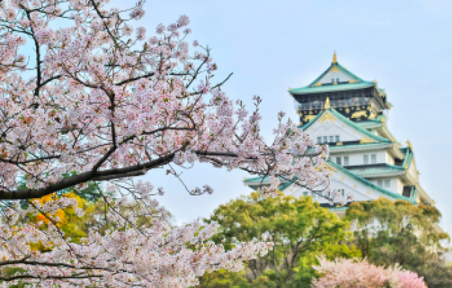 JAPAN โอซาก้า เกียวโต นารา