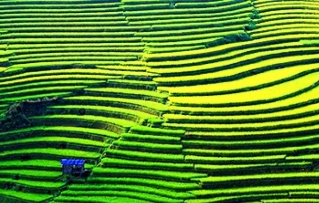 ทัวร์เวียดนาม HASHTAG HANOI-SAPA -FANSIPAN-NINH BINH