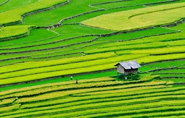 ทัวร์เวียดนาม / THE WONDERFUL SAPA