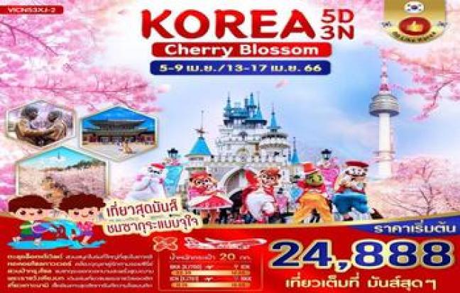 KOREA CHERRY BLOSSOM